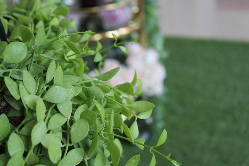 Harmony Phnom Penh Hotel Ngoại thất bức ảnh